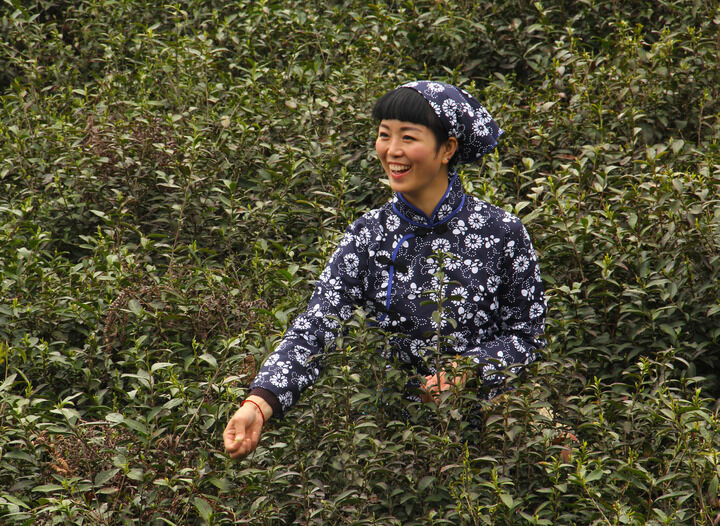 17间房主播跳舞 电影6
